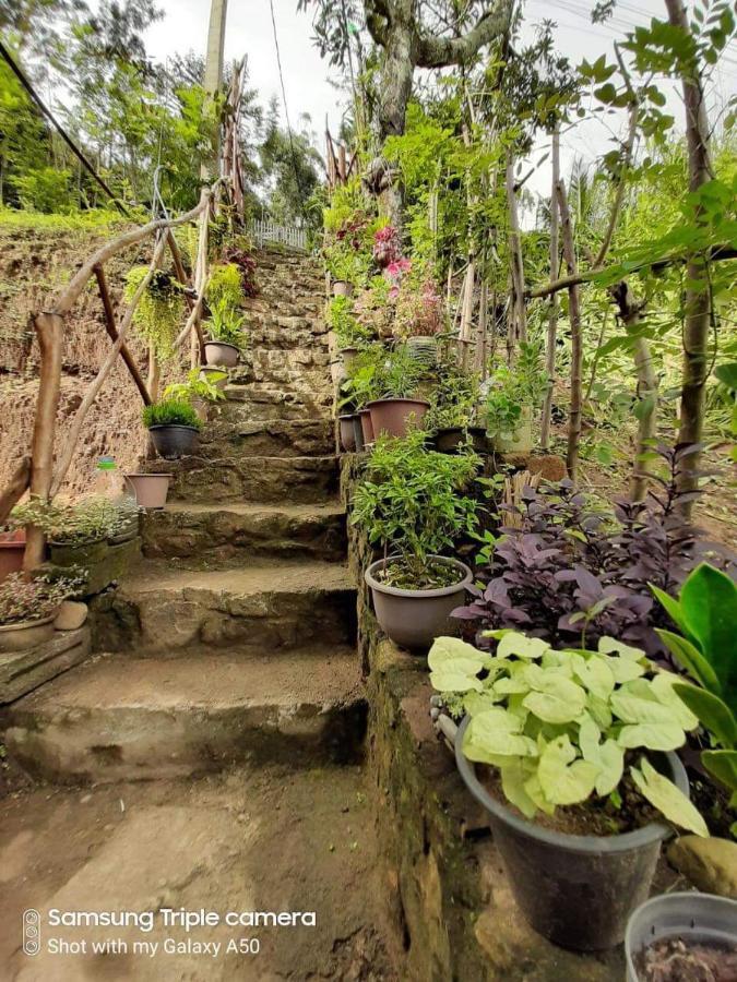Biwon Homestay Procida Dış mekan fotoğraf