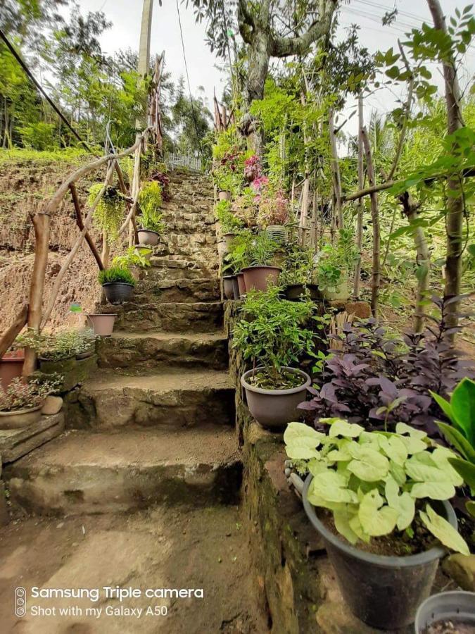 Biwon Homestay Procida Dış mekan fotoğraf